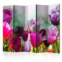 Rumdeler - Vidunderlige tulipaner , 5-delt - 225x172 cm