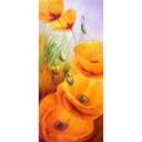 Diseño de puerta Schmucker - Amapolas en el campo