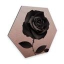 Hexagone - Alu-Dibond effet cuivré Ireland - Fabric Rose