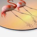 Tableau sur alu-Dibond rond Csresnjes - Flamants roses au crépuscule