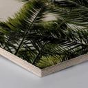 Hexagon hout - Palmen