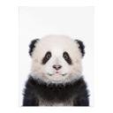 Póster Sisi & Seb - Panda bebé