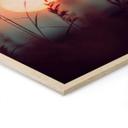 Cuadro de madera Hierbas a la luz del sol resplandeciente - Treechild