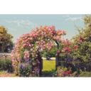 Fotobehang Papierbehang Rose Garden