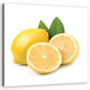 Canvasbillede, citronfrugt
