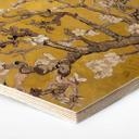 Hexagone - Bois van Gogh - Amandier en fleurs jaune