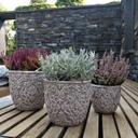 Betonnen Bloempot met Versiering