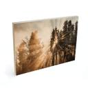 Cuadro de madera rayos de luz en el bosque - Eisenmann