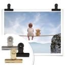 Póster Con Teddy en las montañas