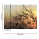 foto tapet designvægge i gul og sort non-woven tapet FlyingDandelion natur mælkebøtte