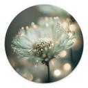 Billede Delikat glitrende blomster - Treechild - rund – print på aluminium (Alu-Dibond)