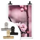 Plakat - Blomsterknopper