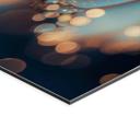 Billede af blå blomst med dugdråber - Aluminium Dibond - Treechild – print på aluminium (Alu-Dibond)
