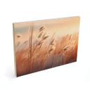 Cuadro de madera hierba de las dunas al sol del atardecer - Treechild