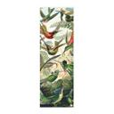 Póster de tela Haeckel - Colibríes - Panorama