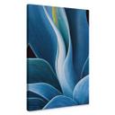 Lienzo Wechsler - Plantas naturaleza muerta agave