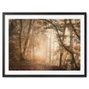 Póster Bosque en la niebla matinal - Maier