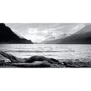 Fototapet - Log and Lake