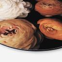 Tableau sur alu-Dibond rond FiguraNYC Photographie - Renoncule