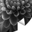 Fototapet - Rundt Grønkjær - Dahlia - vliesetapet/selvklæbende non-woven tapet
