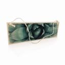 Houten Bordje Agave 02