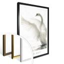 Plakat - Majestætisk Svane - Natural Beauty