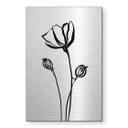 Geborsteld Alu-Dibond met goud-, zilver- & kopereffect - Line Art klaproos - Cats & Dotz
