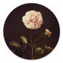 Cuadro de madera Dietzsch - Rosa de vinagre con abejorro - Redondo