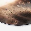 Vægcirkel Treechild - solnedgang over klitterne – print på aluminium (Alu-Dibond)