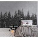 Livingwalls Fototapet Walls by Patel Black Forest 3