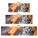 Revêtement pour cuisine - Alu-Dibond - Raisin en automne