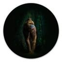 Tableau sur alu-Dibond Yunta - Dans la jungle - Rond