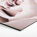 Hexagone - Alu-Dibond 1X Studio - Rose Noble