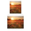 Fotomural de Campo de amapolas al atardecer