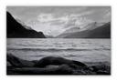 Træstub ved havet – print på aluminium (Alu-Dibond)