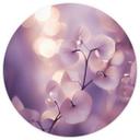 Delikat orkidé i lilla | Romantisk blomstertapet - Treechild - Rund - selvklæbende/ikke-vævet