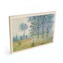 Billede af træ Monet - Marker i foråret