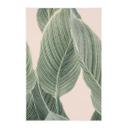Póster de tela Calathea - Sisi & Seb