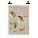 Póster Abstracto - Colibrí - Marrón