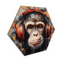 Hexagon Dibond DJ-abe med hovedtelefoner - Magnusson