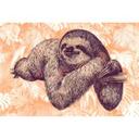 Architects Paper Papier peint photo Atelier 47 Sloth Design animal