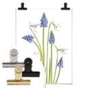 Plakat - Disher - Forårsblomster