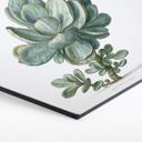 Hexagon Dibond Saftleven - Vetplant