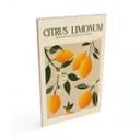 Cuadro de madera Boho limonero - Citrus Limonum - Tunaboylu