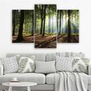 3 stykke lærred Print Skovtræer Solstråler
