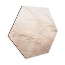Hexagon Dibond Morning Light