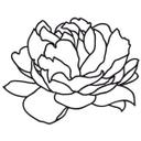 Muursticker Peony Blossom 02