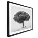 Póster Martin - Árbol en blanco y negro