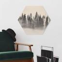 Hexagon Hout Xu - Foggy Forest