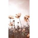 Fototapet Blomstereng - 144x260 cm